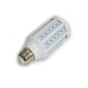 Bulb