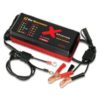 Power pulse X-treme charger